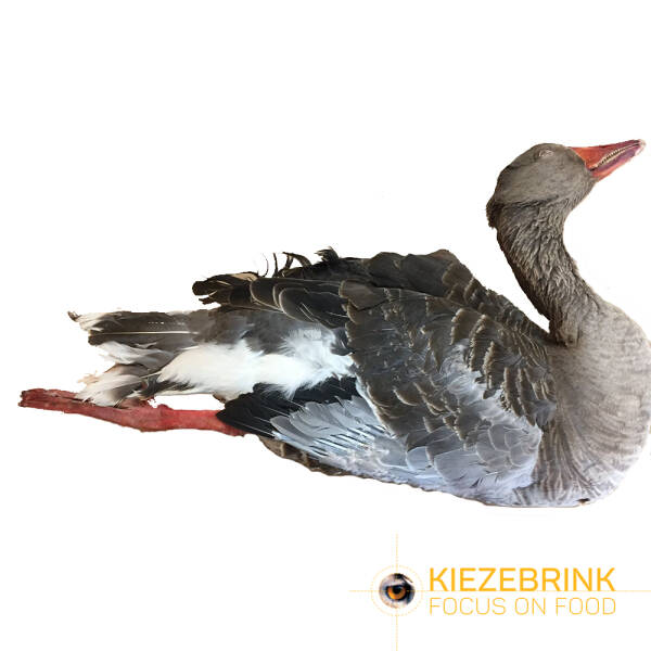Goose with feathers (cat. 2) - ca 350 kg