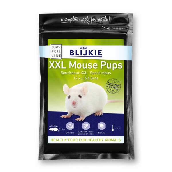 Blijkie BF XXL Babymice (3-4 g) - 25x12 pcs