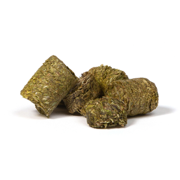 Agrobs TESTUDO