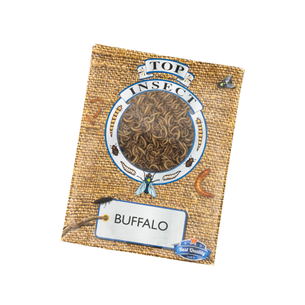 Buffalo Worms - bulk Buffalo Worms - bulk