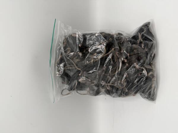 Mix mice 6-40 g (B-quality)