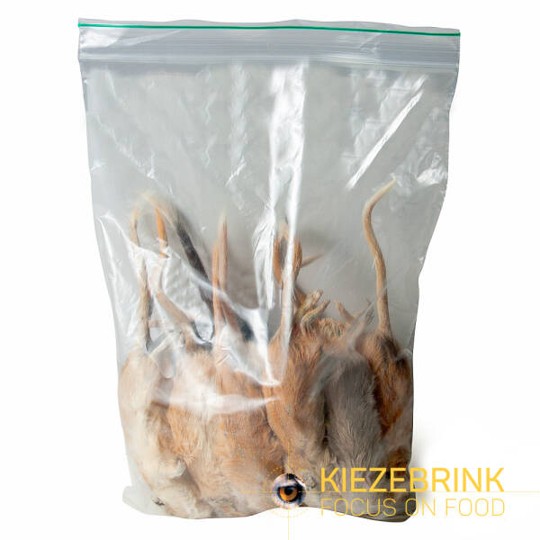 Gerbil (15-70 g) - 10 pcs Gerbil (15-70 g) - 10 pcs