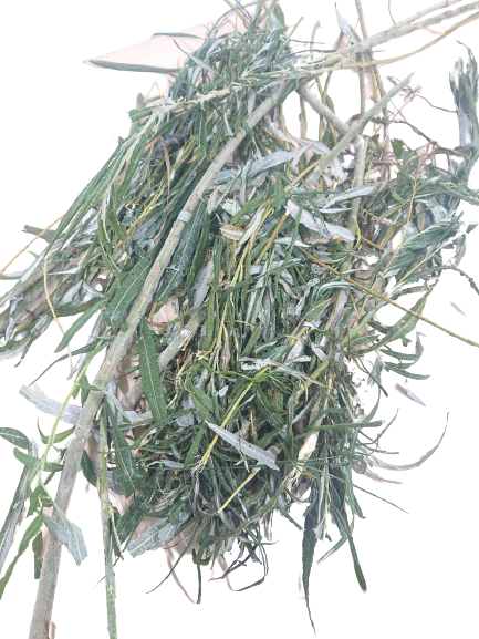 Willow Frozen - ca. 300 kg Willow Frozen - ca. 300 kg