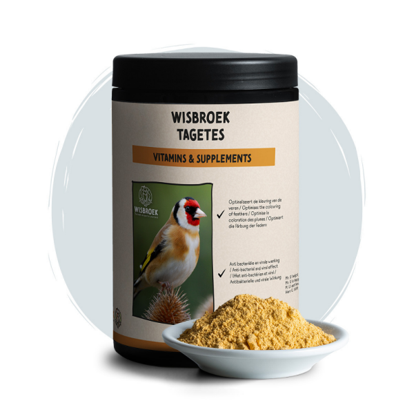 Wisbroek Tagetes