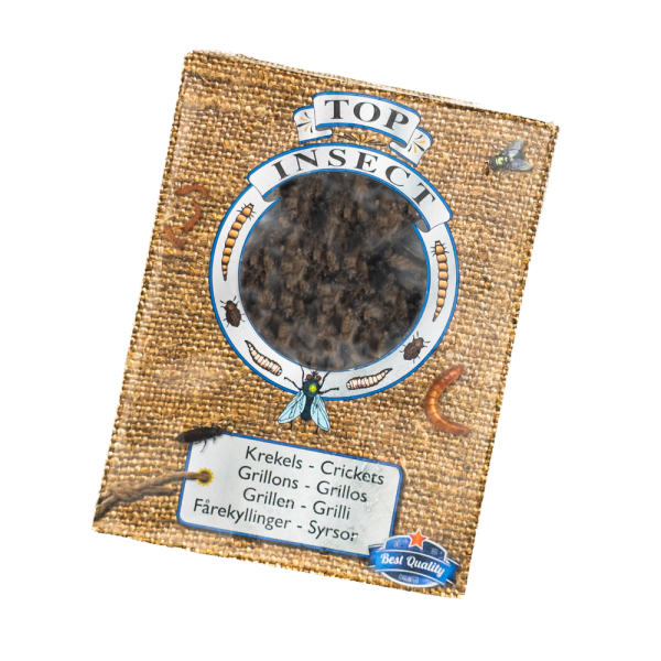 Mealworms bulk