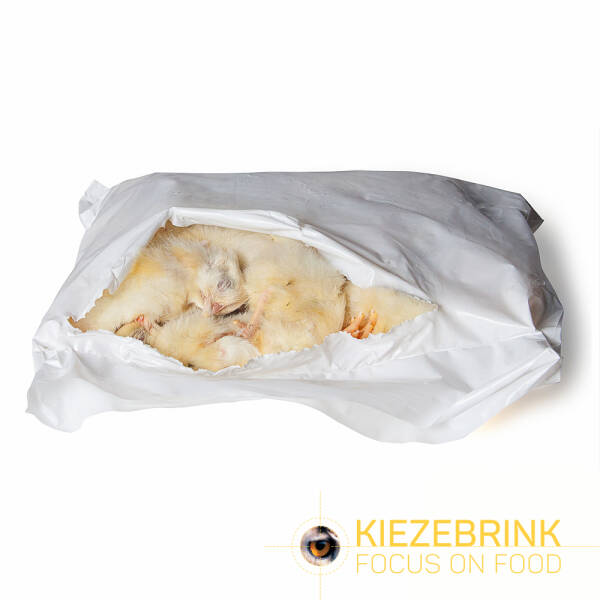 Day old chicks 8 x 2 kg - Monkfield