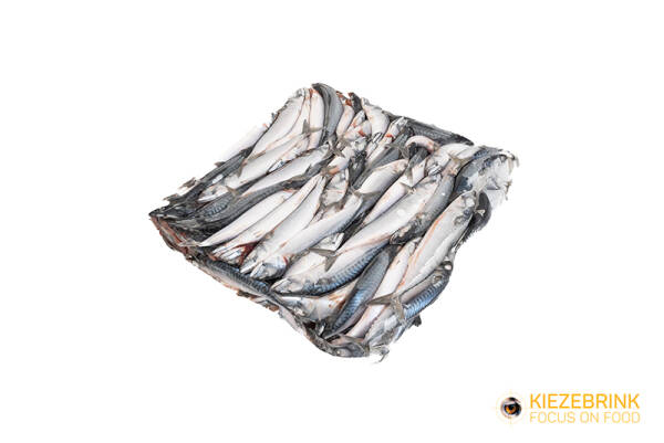 Mackerel small - ca. 20 kg box