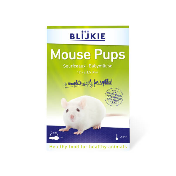 Blijkie Babymäuse 6*10 blister