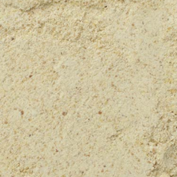 Handfeeding Ramphastid